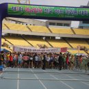 11305-10-9 이미지