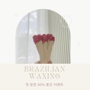 디테일왁싱