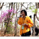 깊은산속 옹달샘 이미지