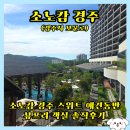 호수펫 | 소노캄 경주 펫 스위트 애견동반 뷰프리 객실 내돈내산 솔직후기 (강아지 용품, 룸컨디션)
