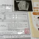 봄산부인과의원 이미지