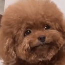 코숨한의원 이미지