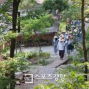 힐리언스 이미지