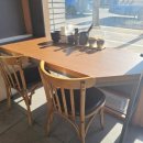 손시스시 이미지