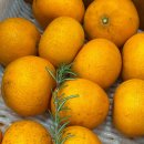 에스웰요양병원 이미지