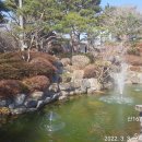 물빛나무