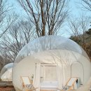 알프스마을민박 이미지