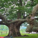 군서면사무소 이미지