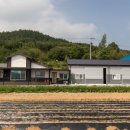 비취 블루베리 이미지