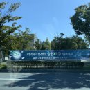 [임신일기]트리야 안녕? #임신 9개월(35주)임산부왁싱/먹부림