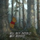 조아비나