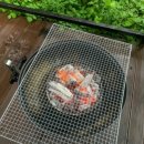 토리아이풀빌라키즈 이미지