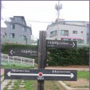 올레길 하천형 3코스 이미지