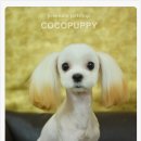 바비 애견샵 이미지