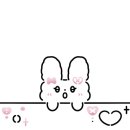 제주도게스트하우스파티고투베드 이미지