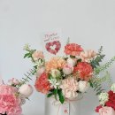 일산랩플레르