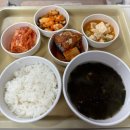 한국의료기상사 | 무릎 내측 인대 파열(MCL) 입원 치료 후기 (4주)