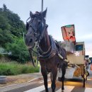 우리마차 이미지