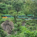 백월산농장 이미지