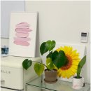 수원-1718 이미지