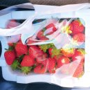 청계 여성전용 불한증막 이미지