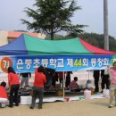 은풍초등학교 이미지