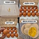 이재명농장 | 연예 핫이슈 11월23일 이장우 결혼·이시영 오너먼트·이이경 놀뭐 논란까지 실시간 검색어