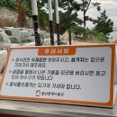 산업로8번길 | 울산 주전 보밑항 피크닉장 예매방법 및 자리정보 이용 솔직 후기