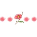 그린한식뷔페 - 성동구 성수동2가 | 그린한식뷔페