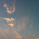 신선지낚시터 이미지