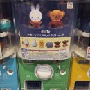 뽑아가유 | 도쿄워홀D+6) 내가 오늘 뭘했냐면