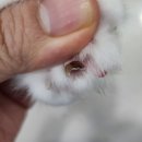 온아동물의료센터 이미지