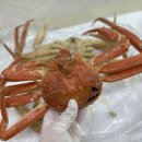 대구 매천시장 러시아대게 맛집 준이수산 저렴한곳 포장후기