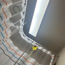 판교대장로2길 | 몰아보는 5월 일상