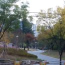 대구신당동우체국 Daum카페
