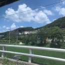 삼촌네 펜션 | [양평 펜션 추천] 양평 삼촌네 펜션 후기