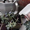 주식회사 산들환경 | 친환경 재배를 고민한다면 추천하고 싶은 산들마켓 이용 후기