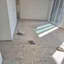 판교대장로7길 이미지