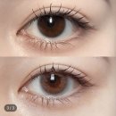 에일린비 | 렌시스 에일린 플러스 그레이 원데이 13.8mm 내돈내산 솔직후기