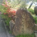 김천정월식당 이미지