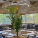 수원-0955 이미지