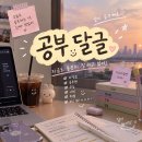 📘공부달글📘 이미지