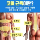 마이PT 이미지