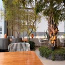 해뜨는 숲속 | 대나무숲 속에서 파스타와 커피를 한 번에 즐기는 김포 감성카페 뱀부포레스트 다녀왔어요