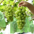 한송이건설(주) | 연세대 로스쿨 면접 후기 (24학년도 오후)