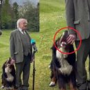 강아지랑나랑 이미지