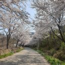 홍성 중담1공영주차장 이미지