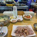 이모카세 티스토리