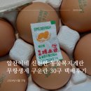 청한농장 | 알찬이네 동물복지계란 무항생제 구운계란 30구 택배후기