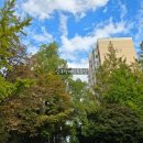 신현대부동산중개법인(주) | [압구정케빈부동산] 압구정 신현대아파트 61" 전세 23억..특올수리